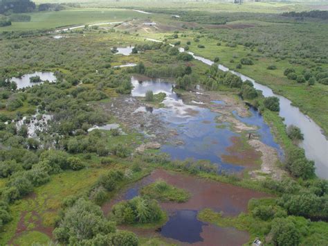 Ramsar Wetlands - National Wetland Trust of New Zealand | Learn More