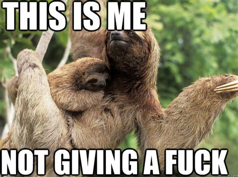 Not Giving A Fuck Sloth Memes Quickmeme