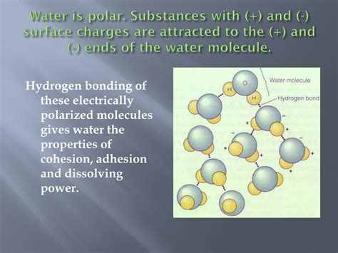 Ppt Water The Universal Solvent Powerpoint Presentation Free