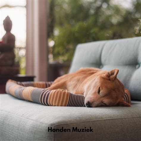 Honden Muziek Ep By Honden Muziek Universum Spotify