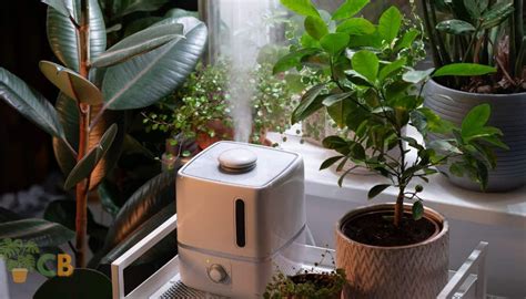 Best Humidifier For Plants Top Picks For Healthy Indoor Greenery In 2025