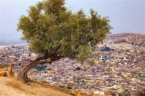 Vista De La Medina De Fez El Bali Es La Parte Amurallada M S Antigua