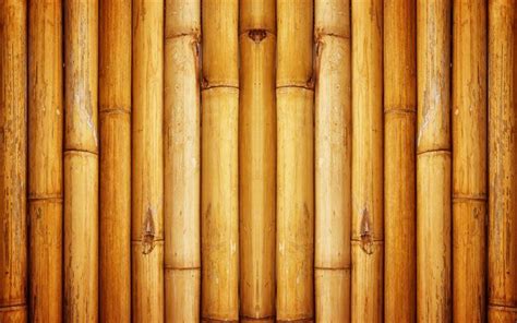 Bamboo Wallpaper For Home Decor