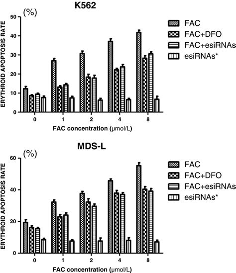 The Erythroid Apoptosis Rate After Incubation With Fac Fac Dfo And