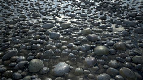 Steve Holt Riverbed Stones