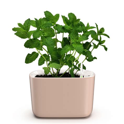 Vaso Jardineira Para Temperos Autoirrig Vel Nude Botanika Shopee Brasil