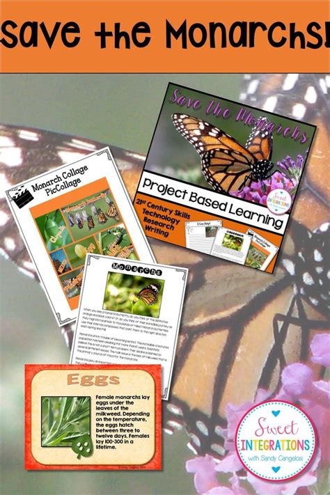 The Monarch Butterfly Project Is Shown With Text And Pictures