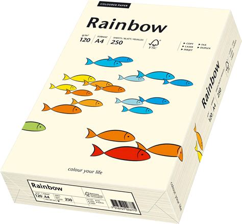 Papyrus 88043187 Drucker Kopierpapier Bastelpapie 4