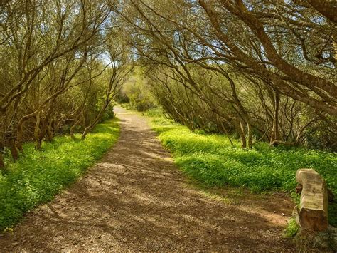 Spain's Mallorca & Menorca Walking & Hiking Tour | Backroads Adventure Travel