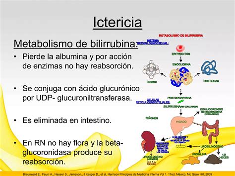 Ictericia Del Recien Nacido Ppt