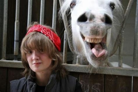 Funny Horse Face – 1Funny.com