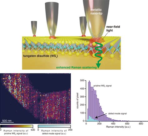 Optics Photonics News Better Tip Enhanced Raman Spectroscopy For