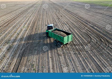 Tractor with a Potato Digger on the Field Stock Photo - Image of ...