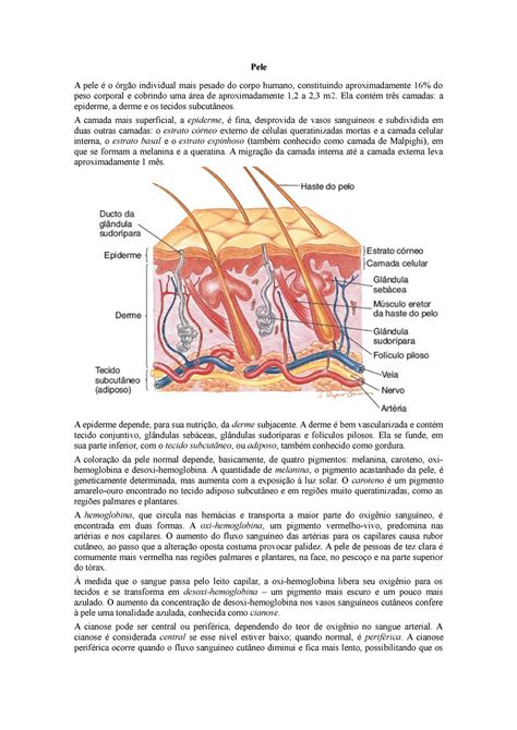 A Pele Que Habito Resumo 8