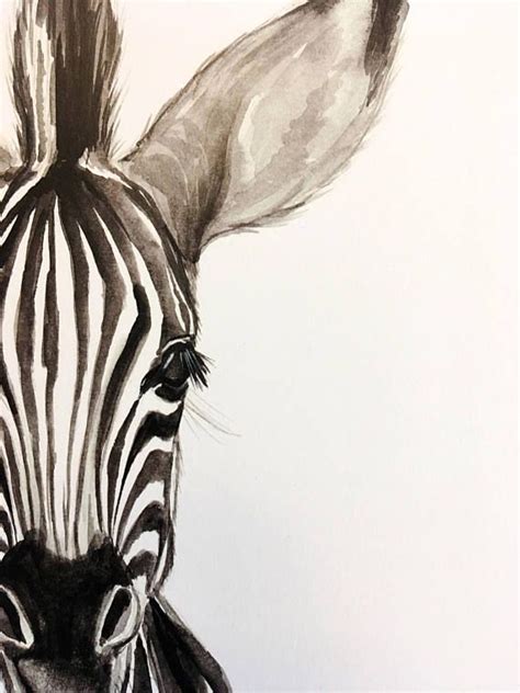 Baby Zebra Watercolor Print Etsy Zebra Painting Animal Paintings