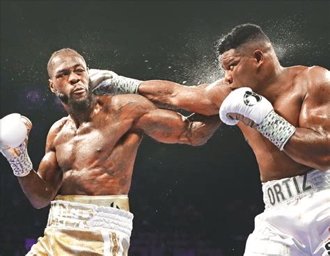 One-punch knockout does job for Wilder | The Standard