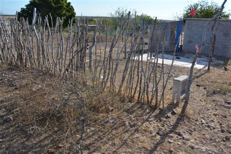 Campesinos del ejido Carrizo Grande arrinconados en la miseria Ríodoce