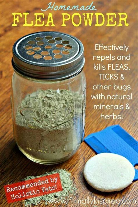 Natural Homemade Flea Repellent For Cats