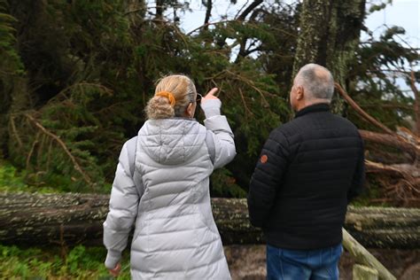 Tempête Ciaran Le Fonds Dindemnisation Sera De 50 Millions Pour Les