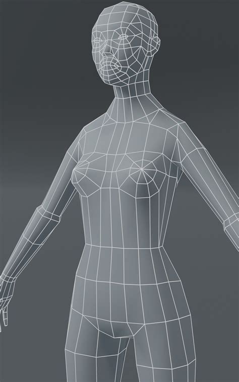 3D Model Male And Female Body Base Mesh 3D Model 1000 Polygons VR AR