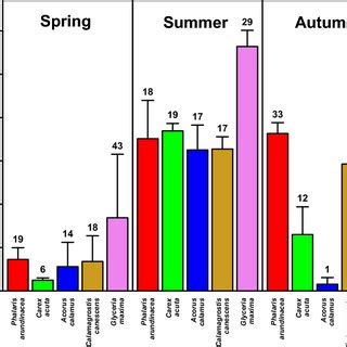 Leaf Area Index LAI Of Individual Dominant Plant Species Of The