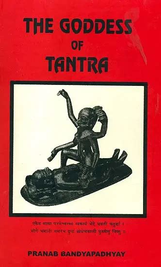 The Goddess Of Tantra An Old And Rare Book Exotic India Art