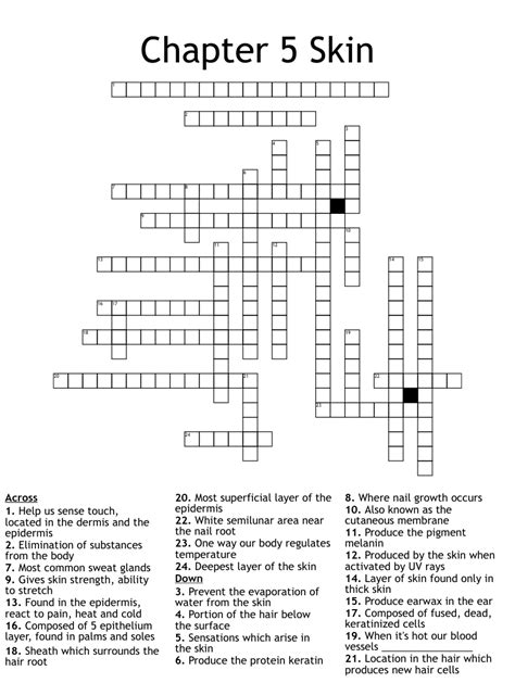 Integumentary System Crossword Wordmint