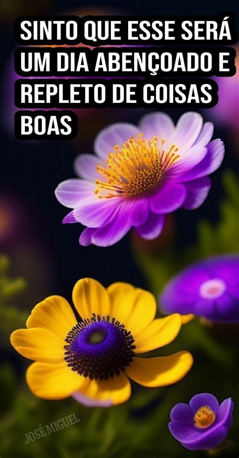 Bom Dia Lindas Mensagens Para Whatsapp Mensagens De Bom Dia Domingo