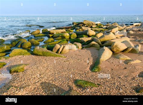 Caspian Sea Beaches Russia