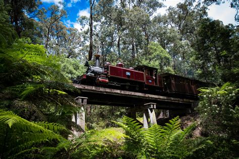 frequently asked questions contact puffing billy puffing billy railway