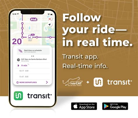 Official Collier Area Transit – CAT Website | CATConnect, Ride CAT