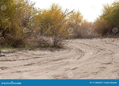 Dusty Road In The Wilderness Stock Image Image Of Sunny Orange