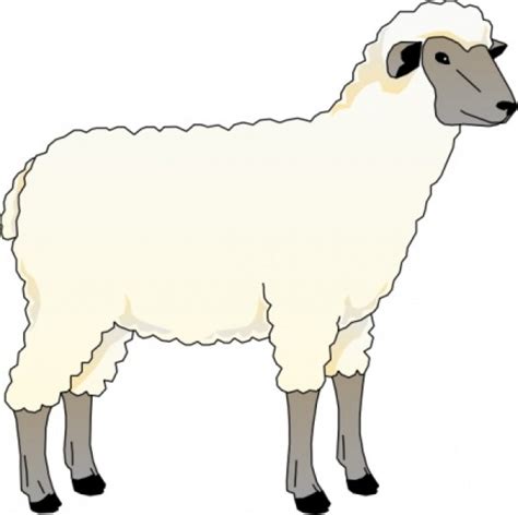 Sheep clip art free clipart images – Clipartix