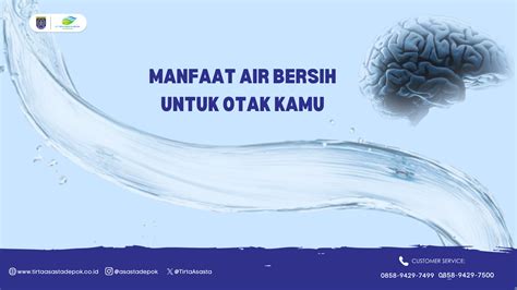 Tirta Asasta Depok Manfaat Air Bersih Untuk Otak