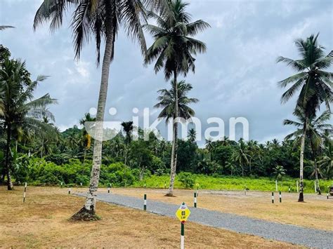 Land For Sale At Artigala Ikman