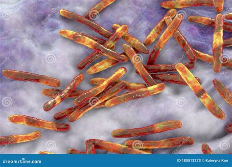 Bacteria Mycobacterium Tuberculosis Stock Illustration Illustration