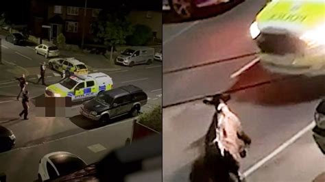 Major Update On Escaped Cow Rammed Into Twice By Police Car In Footage