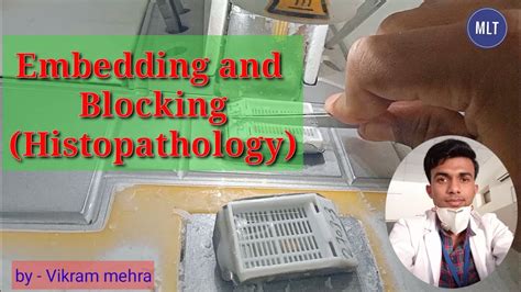 Embedding And Blocking Of Tissue Histopathology Lab Pathology