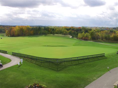 toka sticks golf club 6