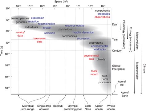 Schematic Illustration Of The Temporal And Spatial Scales Of