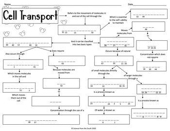 36 Cell Concept Map Worksheet Answer Key - support worksheet