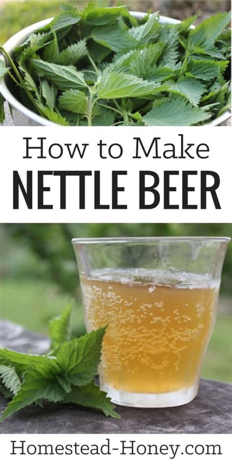 39+ Best Homemade Beer Recipes & Tutorials