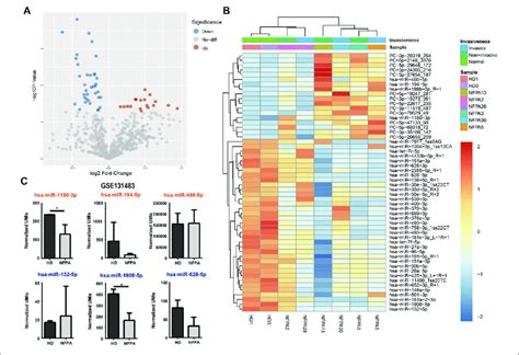 Differential Expression Analysis Of Exosomal Mirnas Volcano Plot A Download Scientific