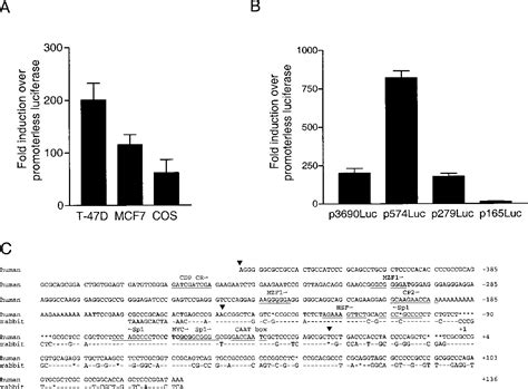 Figure From Organization Of The Human Fk Binding Immunophilin