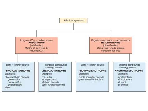 Nutritional Classification Of Microorganisms Ppt