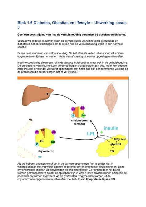 Blok 1 6 Diabetes Obesitas En Lifestyle Uitwerking Casus 3 Blok 1