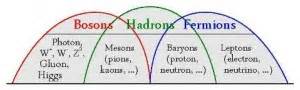 Fermions and Bosons : Particles Which Make The Universe