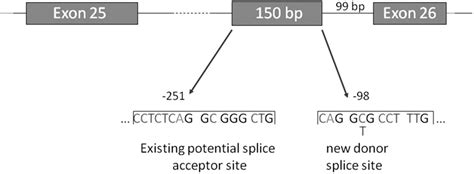 Genomic Sequence Analysis Genomic Sequence With Emphasis On The