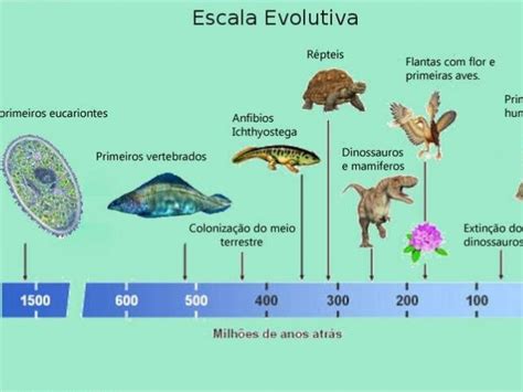 Primeiro Animal Terrestre - Os primeiros vertebrados