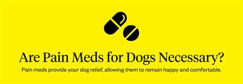 Pain Meds for Dogs: Types of Dog Pain Meds | Dutch